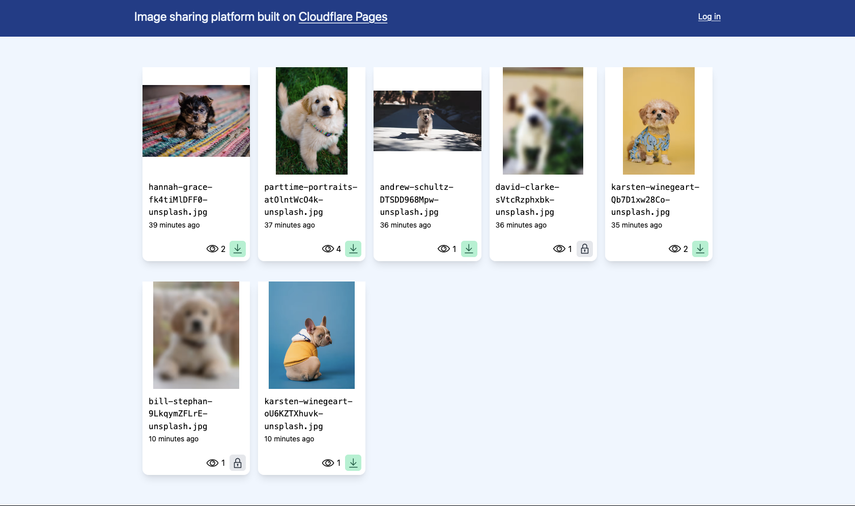 Screenshot of the image sharing platform showcasing seven pictures of puppies