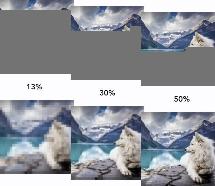 At the top, a normal JPEG loading from top-to-bottom at three points (13% complete, 30% complete and 50% complete).

At the bottom, a progressive JPEG loading with incrementally more detail at the same three points (13% complete, 30% complete and 50% complete).